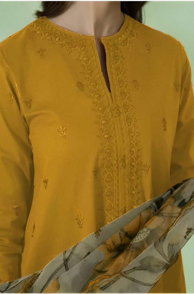 3 PIECE-EMBROIDERED LAWN SUIT-BG560 Main Image